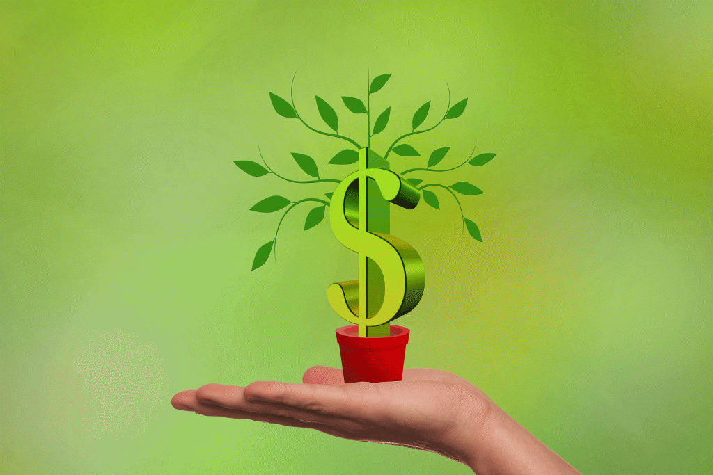 Árbol de dinero con el símbolo de dólar sobre palma de una mano: metáfora de acceder a capital