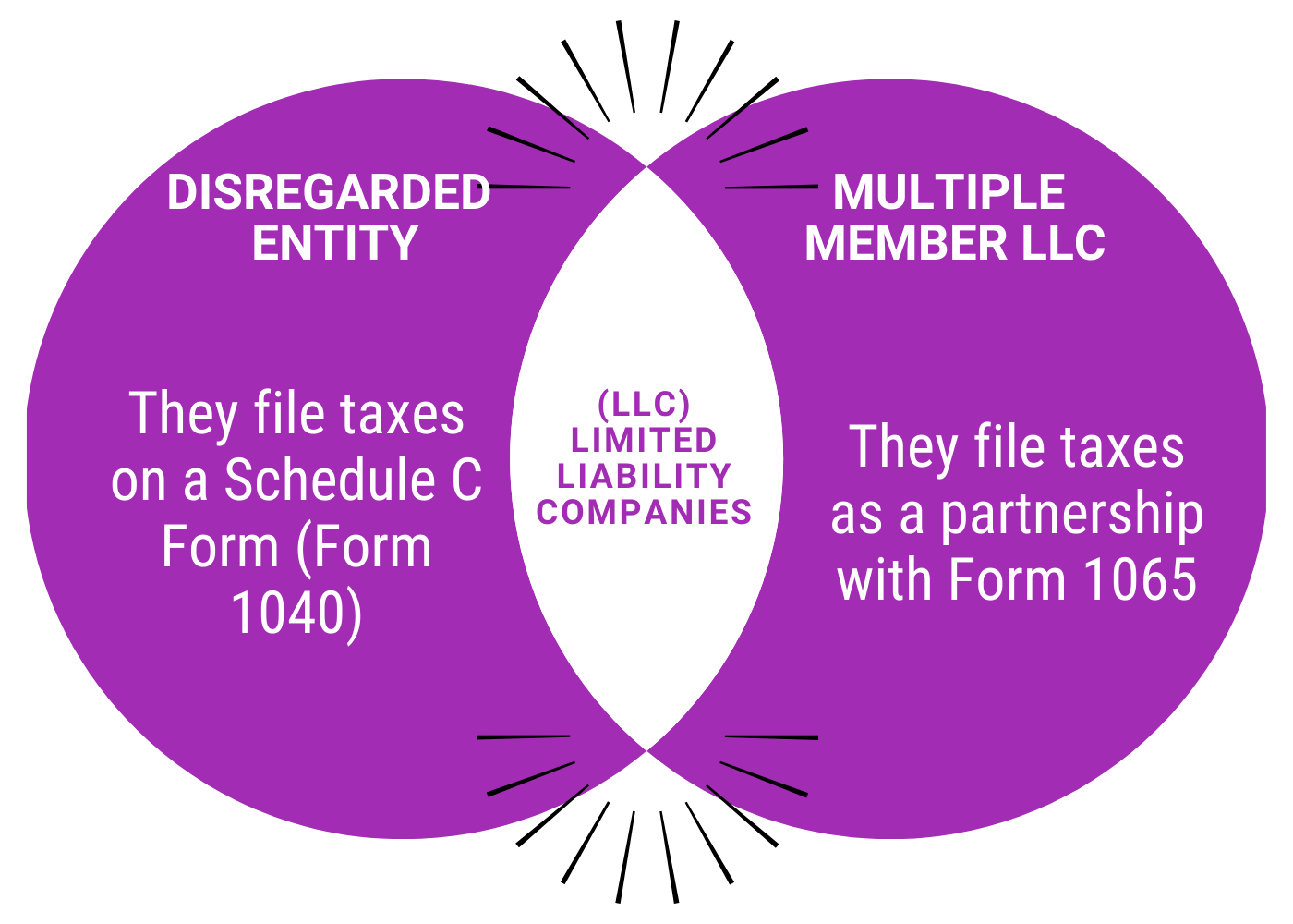 structuring-a-business-what-is-a-disregarded-entity-camino-financial
