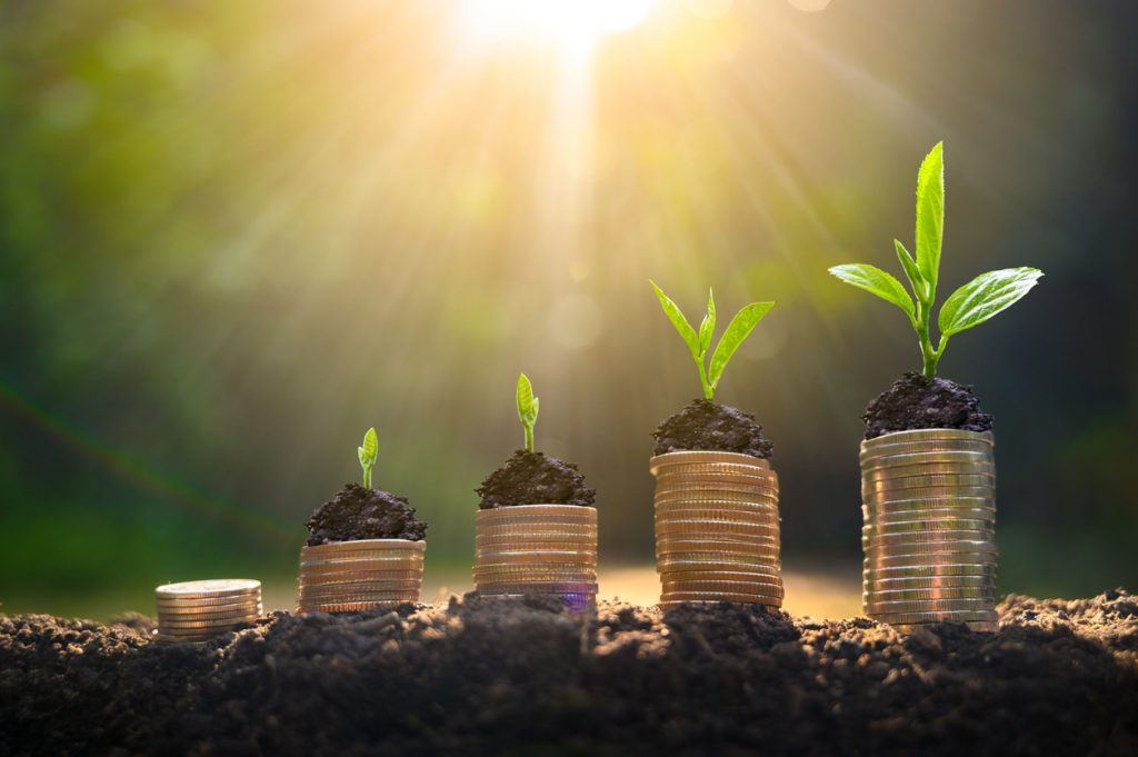 Upper tree coins to shown concept of how to invest money to grow your business