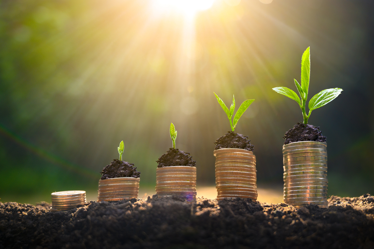 Upper tree coins to shown concept of how to invest money to grow your business