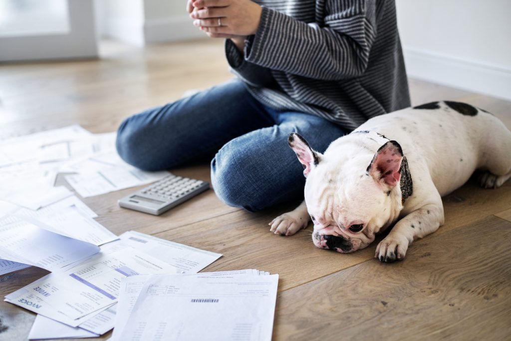 Mujer y perro en el suelo sobre el que hay múltiples deudas. Concepto: Liquidación de deuda o consolidación de deuda