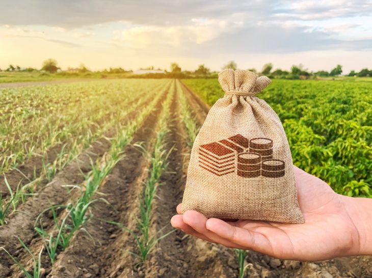 The farmer holds a money bag on the background of plantations. Lending and subsidizing farmers. Grants and support. Profit from agribusiness. Land value and rent. Taxes taxation. Agricultural startups. concept: Small Farm Loans